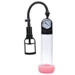 Power Pump Erection Tool W/ Pressure Gauge For Him