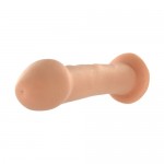 Beginner Brad 6.5 Inch Dildo With Suction Cup